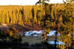 8 evening (Already Into April)