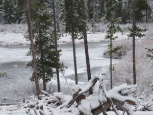 9 snow (Winter Does Not Want to Let Go.)