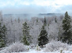 9a more snow (Winter Does Not Want to Let Go.)