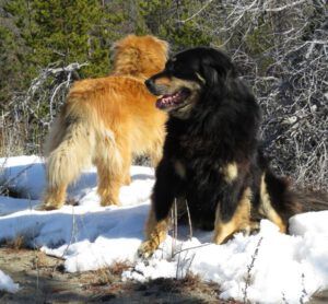 IMG_6495 (Already Into April)