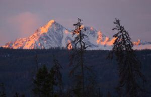 1 hot morning (Mini Heatwave)