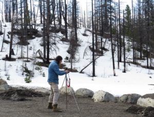 1 mantas (Down The Hill)