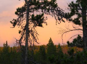 14. Stormy weather (GREEN!)