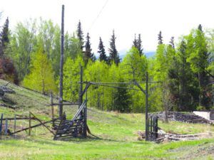 17. Amazing green. (GREEN!)