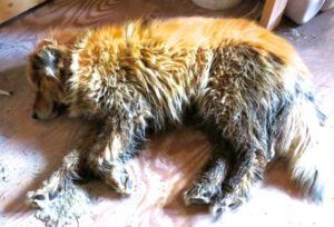 1b Harry in mud (More Volunteers)