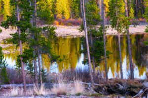 3 pond open (Mini Heatwave)