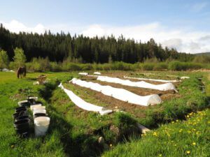 5 F and M’s garden (2014 Cattle Drive Party)