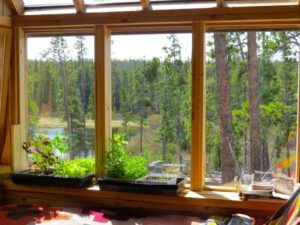 5 bay window 2 (More Volunteers)