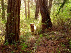 8 walk by river (2014 Cattle Drive Party)