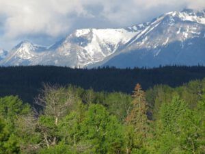 1 mts (Summer Has Arrived)