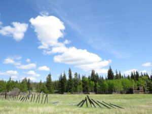 10 gorgeous (More Green)