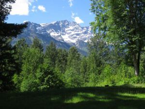 12 Stupendous (More Green)