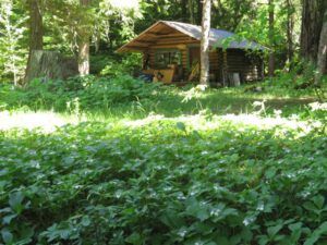 13 Stuie cabin (More Green)