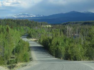 15 Hwy 20 (More Green)