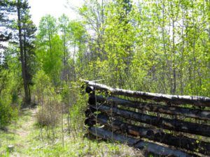 1a fence (More Green)