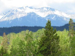 2 mts and shadows (Summer Has Arrived)