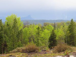 3 mountians (More Green)