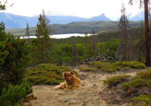 4 north dunes (Summer Has Arrived)