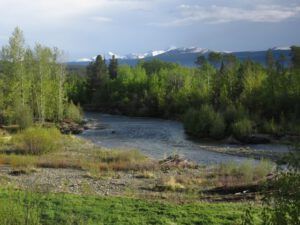 4 river from cabin (More Green)