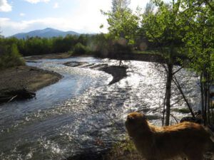 5 river (More Green)