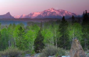 9 sunrise (More Green)