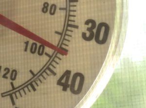 1 thermometre (Ginty Creek Heat Wave.)