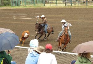 10 double calf roping (79th Anahim Lake Stampede)