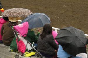 18 crowd umberellas (79th Anahim Lake Stampede)