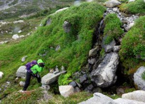 2b seep (Nuk Tessli: Gentian Valley Part 2)