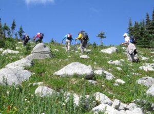 4 climbing up (Nuk Tessli – North Pass Meadows)