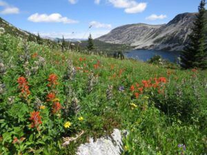5 north pass lake (Nuk Tessli – North Pass Meadows)