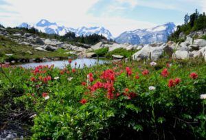 6 creek crossing (Nuk Tessli: Gentian Valley Part 1)