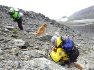 7 slope (Nuk Tessli: Gentian Valley Part 2)