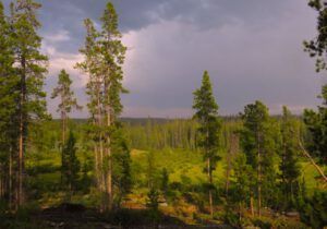 12 fire over KK (Another Heatwave)