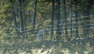 15 smouldering fire (Where There’s Smoke….)