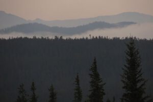 17 clearing (Where There’s Smoke….)