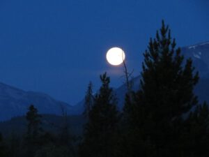 5 moon 2 (Where There’s Smoke….)