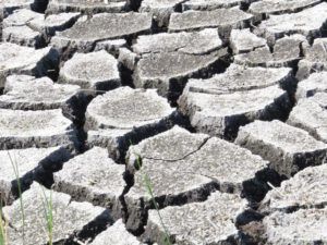 6 deep cracks (Another Heatwave)