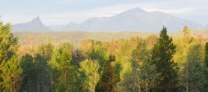 7 smoke coming in (Where There’s Smoke….)