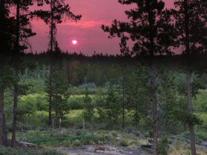 9 smoke sunrise at home (Where There’s Smoke….)