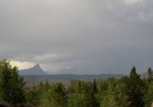 11 periods of rain (Cool and Cloudy at Ginty Creek)