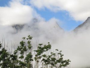 15 lifting fog (Bird Banding at Tatlayoko Lake)