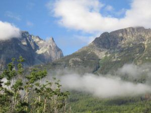 16 Niuts revealed (Bird Banding at Tatlayoko Lake)