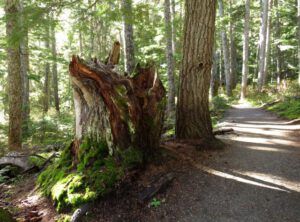 21 super-trail (And The River Still Sings is On The Road.)