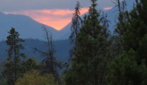 5 shower (The Drought Continues at Ginty Creek)