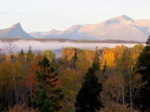 6 sunrise and mist (What I Left Behind)