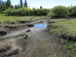 6. puddle 1 (Cool and Cloudy at Ginty Creek)