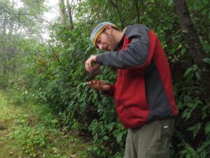 7 Chris at nets (Bird Banding at Tatlayoko Lake)