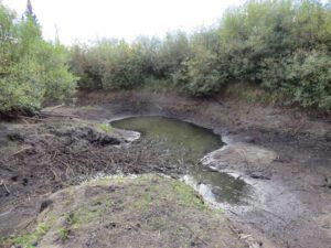 7 last puddle (Cool and Cloudy at Ginty Creek)