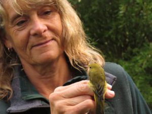 9 Gail and f yellow warbler (Bird Banding at Tatlayoko Lake)